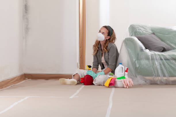 Reliable Commercial Mold Remediation contractor in Bridgeport, IL by Mold Remediation HQ